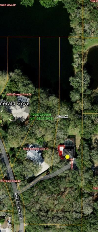 16317 Emerald Cove, Lutz, FL 33549 Photo
