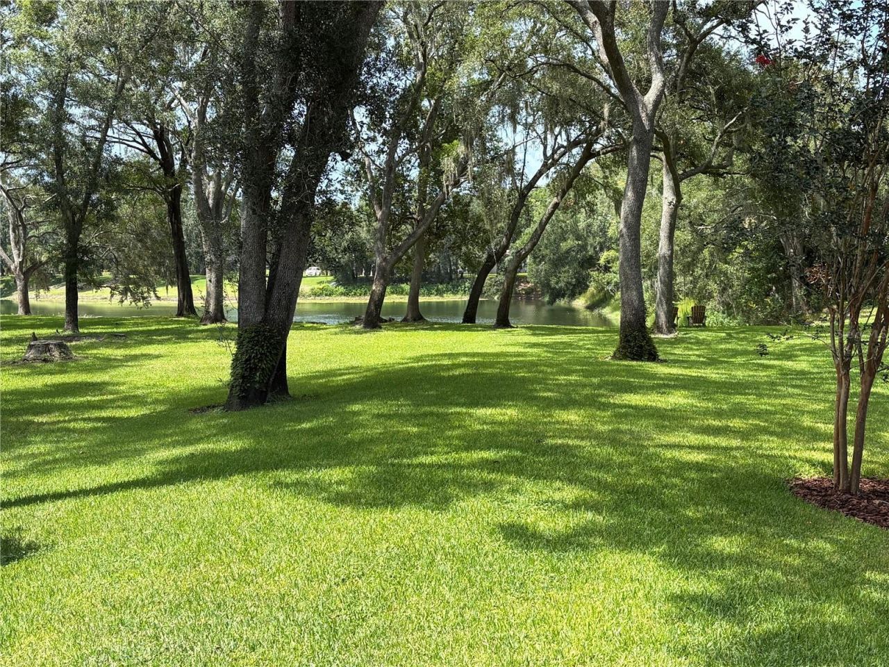16317 Emerald Cove, Lutz, FL 33549 Photo