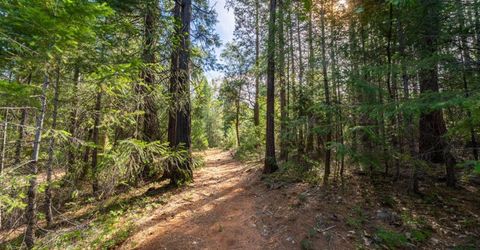 13 Bear Ct, North San Juan, CA 95960 Photo