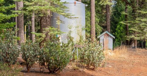 13 Bear Ct, North San Juan, CA 95960 Photo