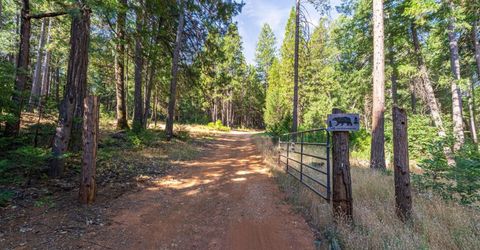 13 Bear Ct, North San Juan, CA 95960 Photo