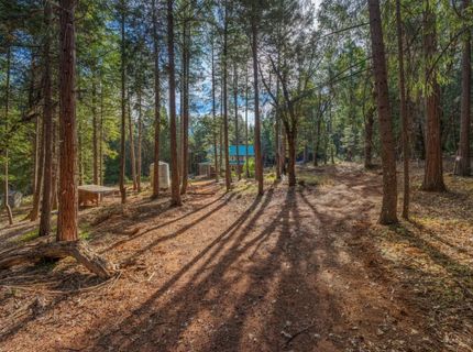 13 Bear Ct, North San Juan, CA 95960 Photo