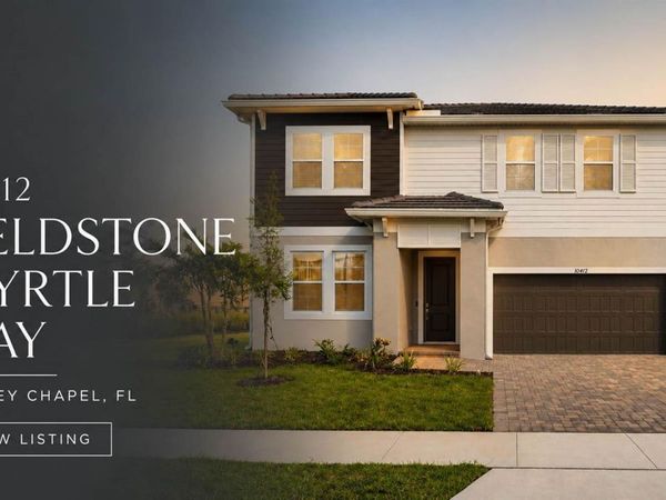 10412 FIELDSTONE MYRTLE WAY, SAN ANTONIO, FL 33576