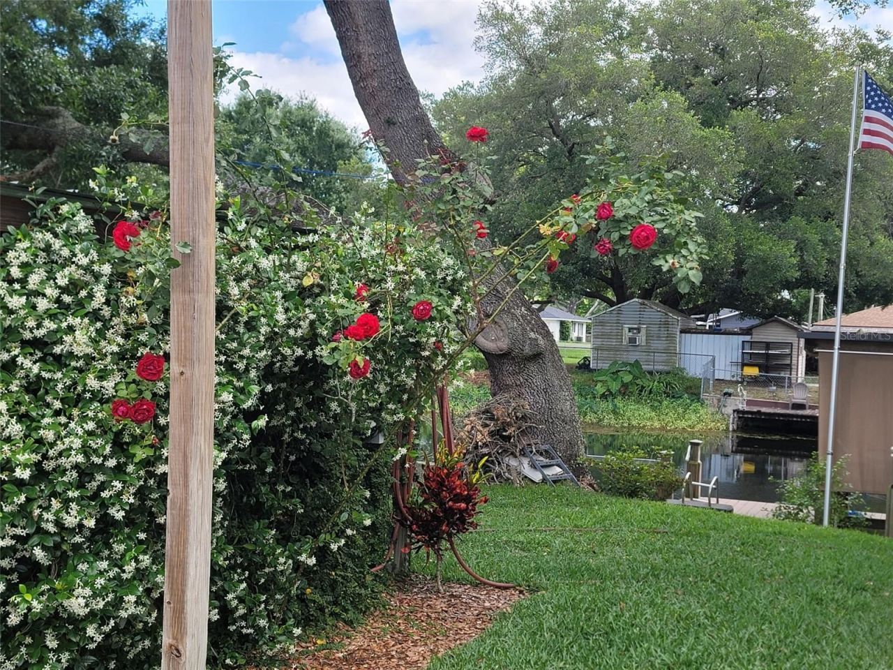 27728 Lisa Drive, Tavares, FL 32778 Photo