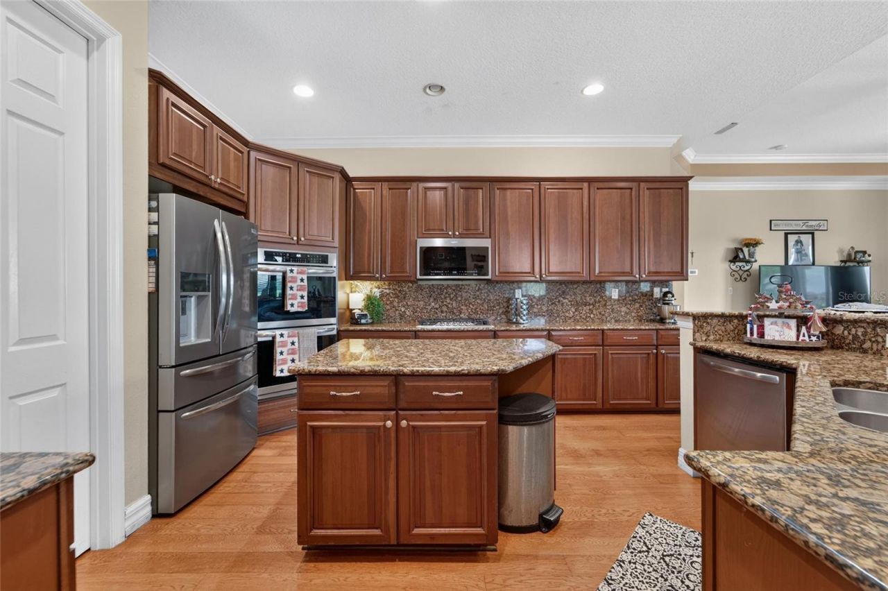 5207 Lake Venice Drive, Wimauma, FL 33598 Photo
