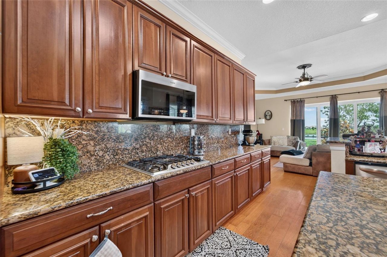 5207 Lake Venice Drive, Wimauma, FL 33598 Photo