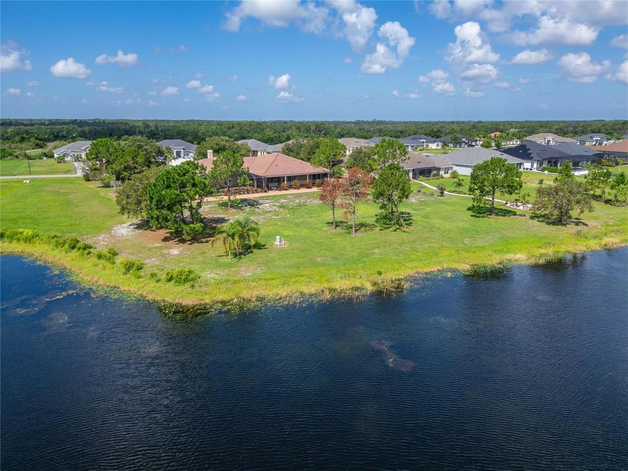5207 Lake Venice Drive, Wimauma, FL 33598 Photo