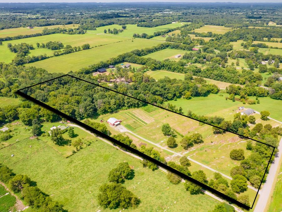 Property Image 8