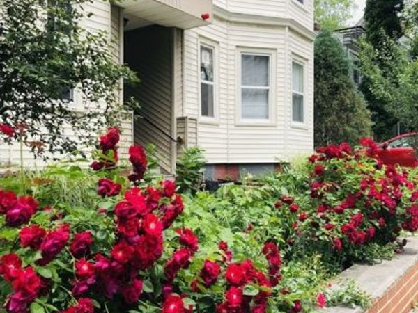 11 Tufts St, Unit 6, Cambridge, MA 02139