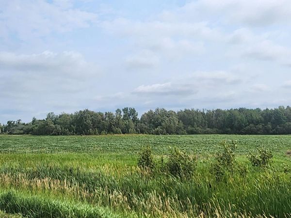 TBD 330th Avenue NE, Goodridge, MN 56725