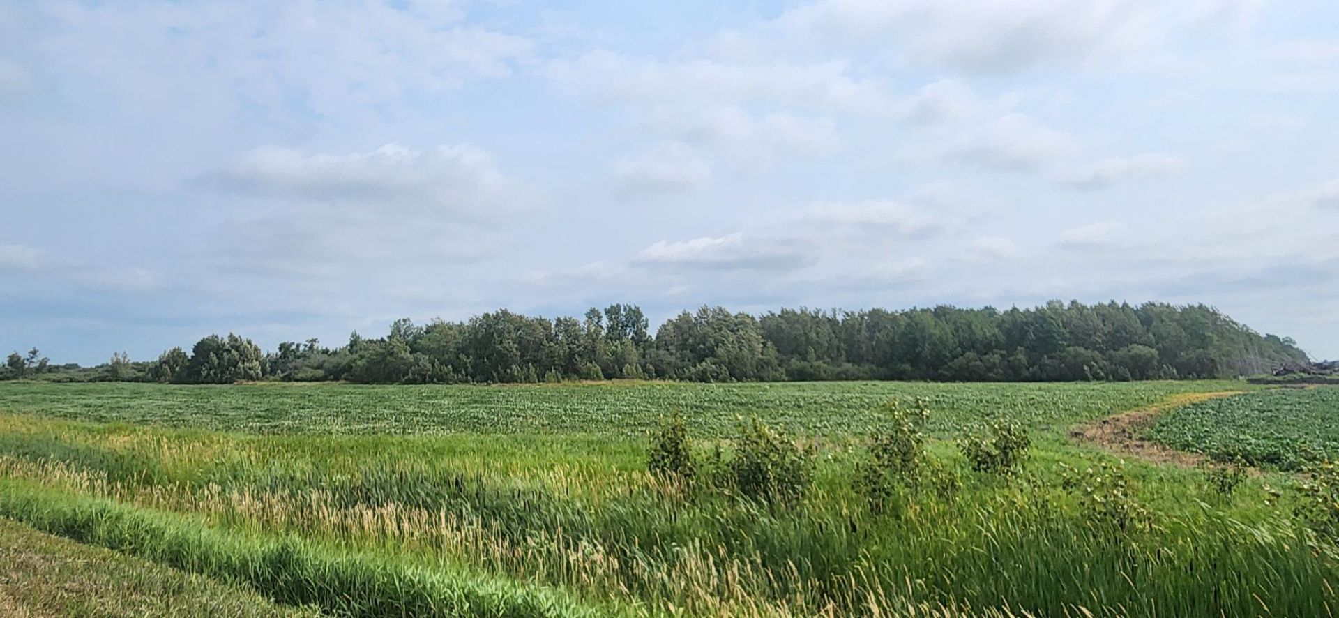 TBD 330th Avenue NE, Goodridge, MN 56725