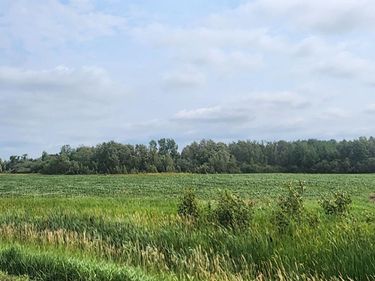 TBD 330th Avenue NE, Goodridge, MN 56725