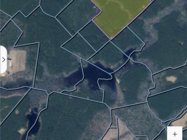 TBD Cypress Swamp Lane , Spring Grove, VA 23881