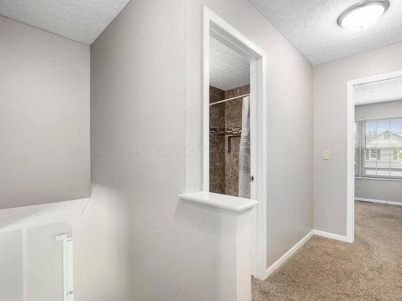 8515 Old Ivory Way, Blacklick, OH 43004 Photo 14