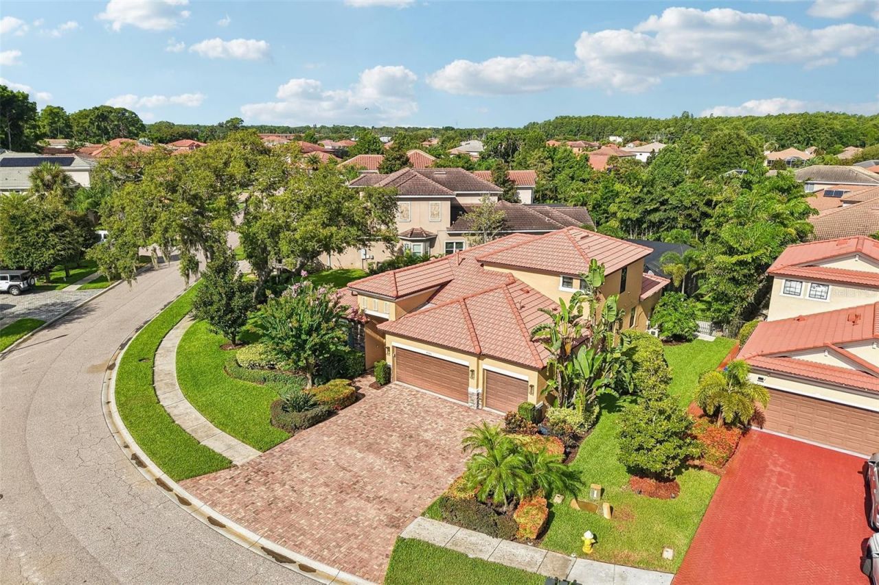 4586 Grand Lakeside Drive, Palm Harbor, FL 34684 Photo