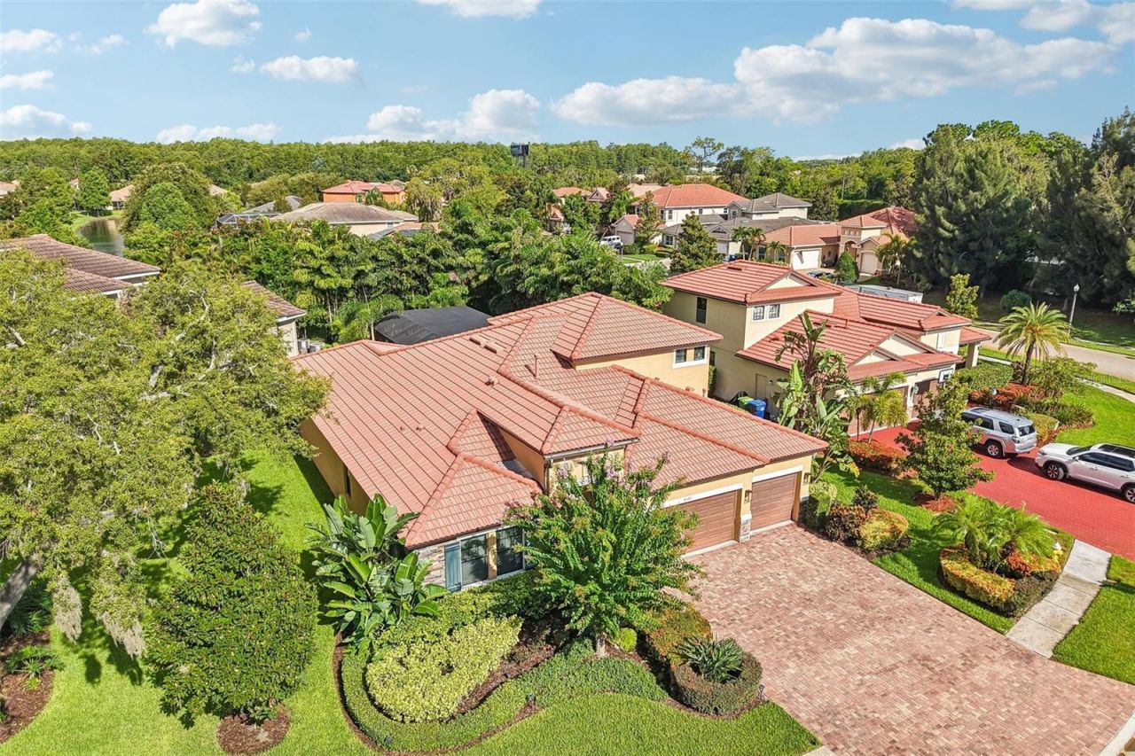 4586 Grand Lakeside Drive, Palm Harbor, FL 34684 Photo