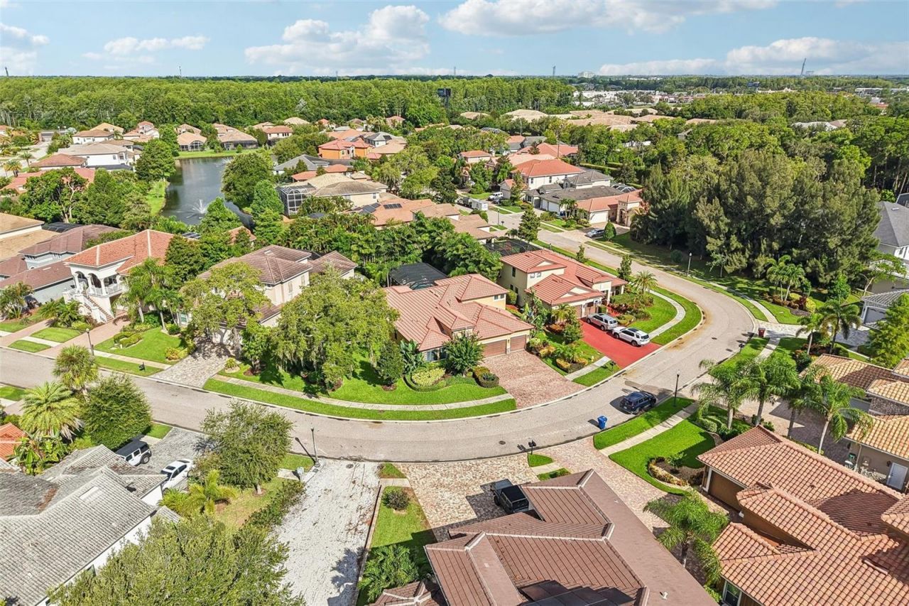 4586 Grand Lakeside Drive, Palm Harbor, FL 34684 Photo