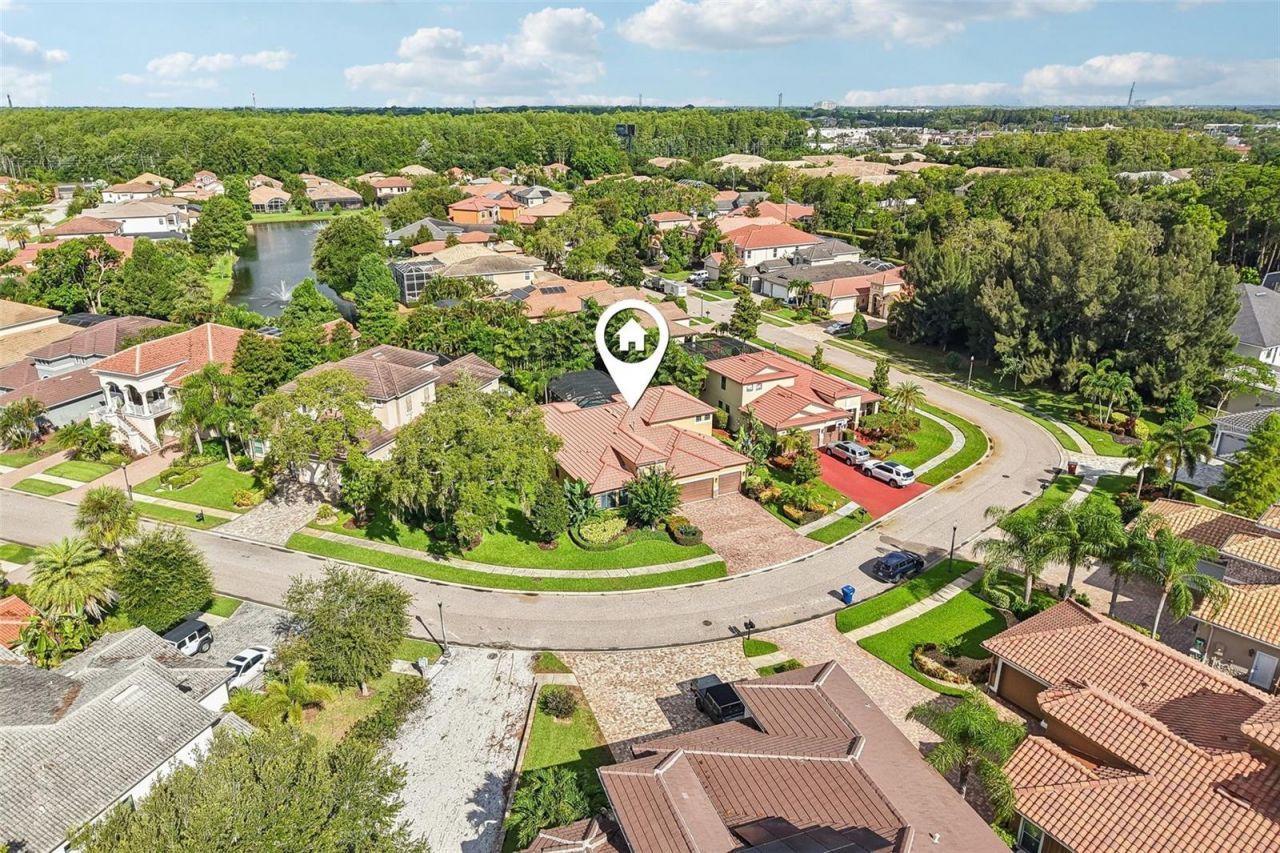 4586 Grand Lakeside Drive, Palm Harbor, FL 34684 Photo