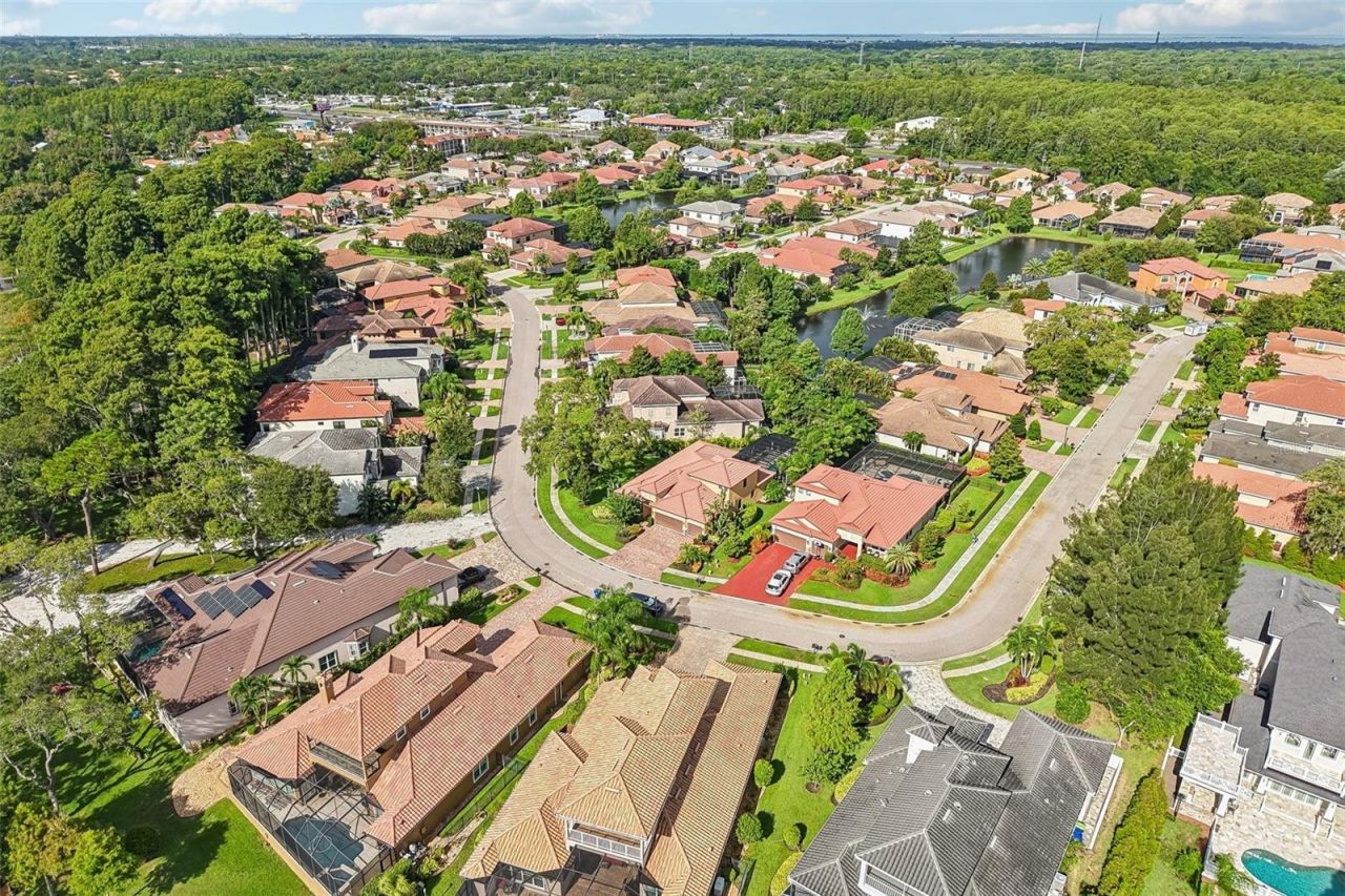 4586 Grand Lakeside Drive, Palm Harbor, FL 34684 Photo