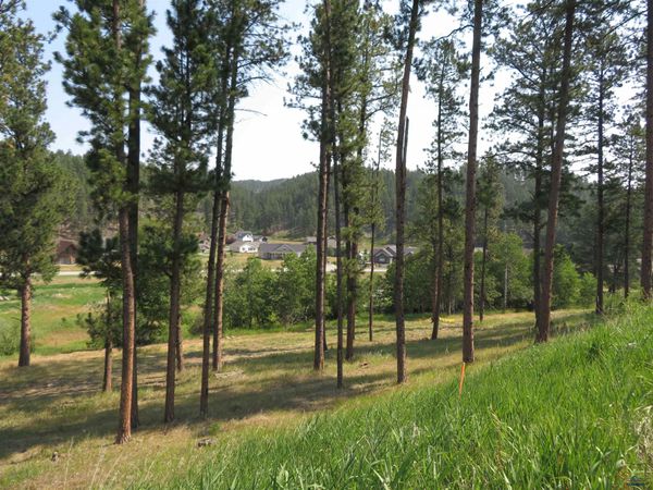 Blk 7 Lot 7 OTHER, Hill City, SD 57745