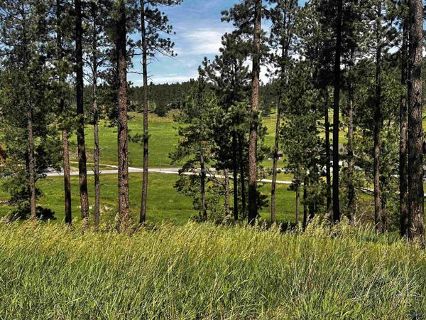 Blk 7 Lot 8 OTHER, Hill City, SD 57745