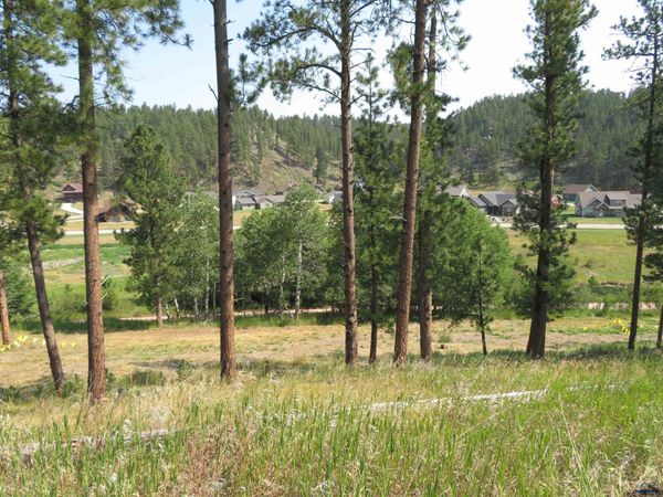Blk 7 Lot 8 OTHER, Hill City, SD 57745