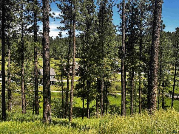Blk 7 Lot 10 OTHER, Hill City, SD 57745