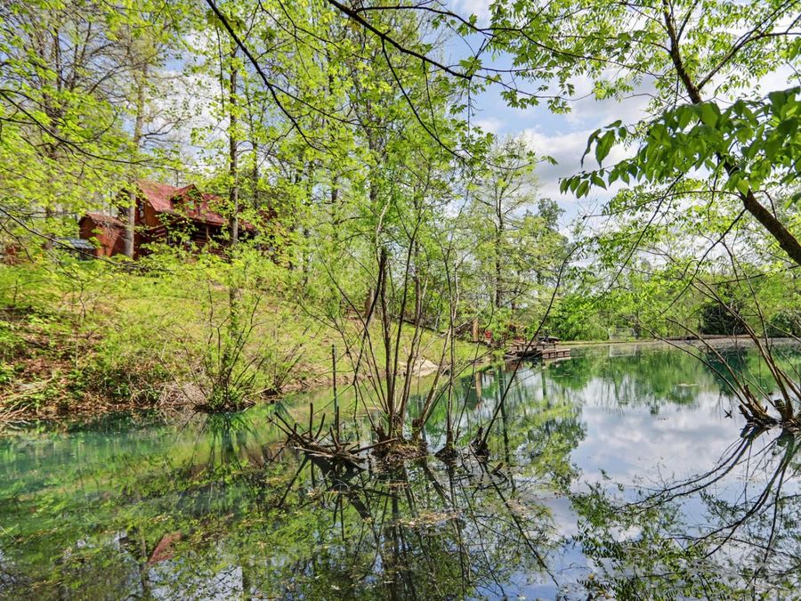 Property Image 38