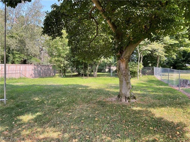 8359 Nowlen Street, Mentor, OH 44060 Photo 3