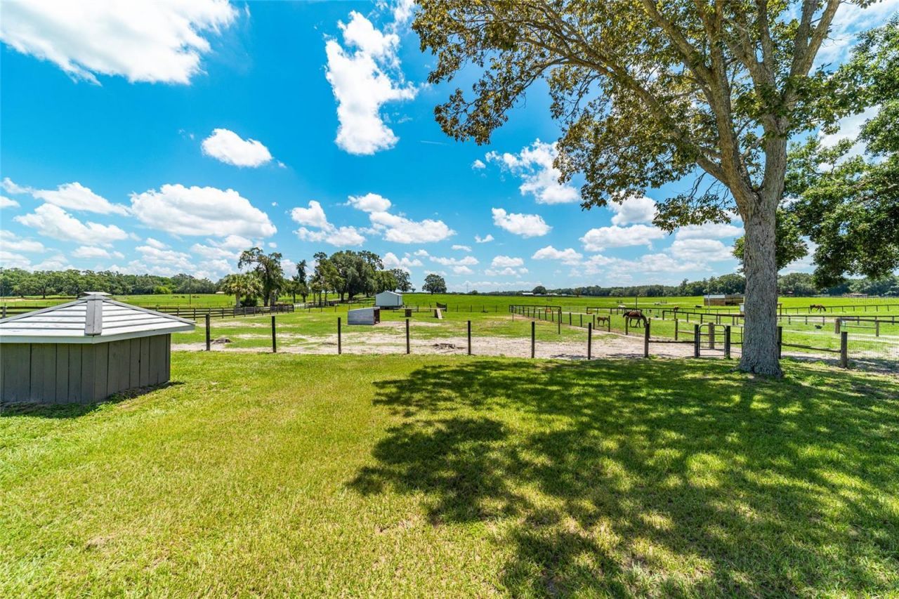 1285 NW 102nd Boulevard, Wildwood, FL 34785 Photo