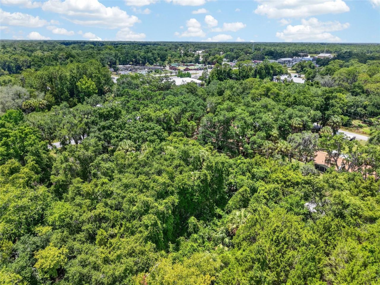 0 SW Palm Point , Inglis, FL 34449 Photo