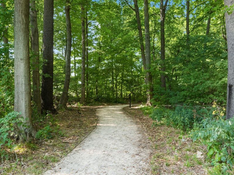 6380 Rossmore Lane, Canal Winchester, OH 43110 Photo 57