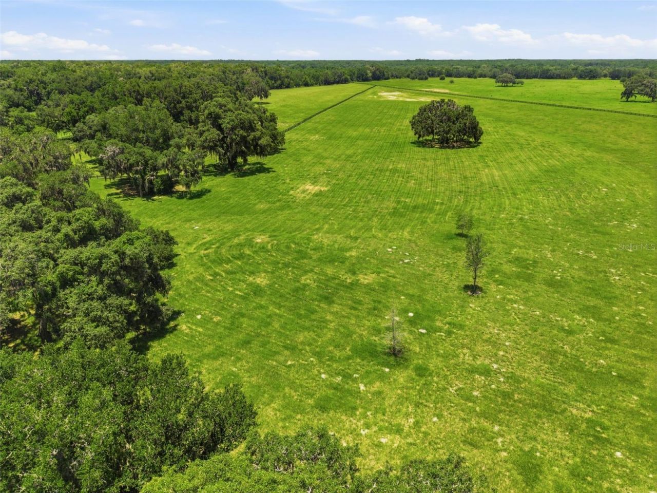 Tbd (lot 14-w) SW 138th Loop, Dunnellon, FL 34432 Photo