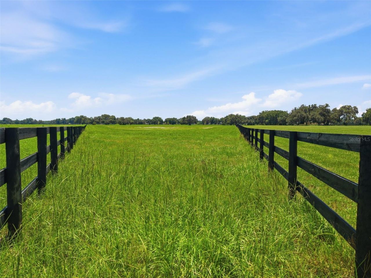Tbd (lot 14-w) SW 138th Loop, Dunnellon, FL 34432 Photo