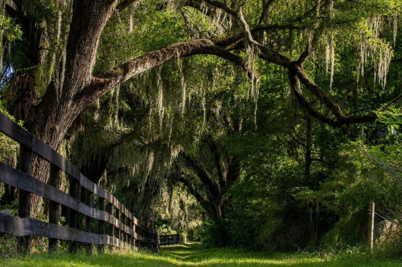 Tbd (lot 14-w) SW 138th Loop, Dunnellon, FL 34432 Photo