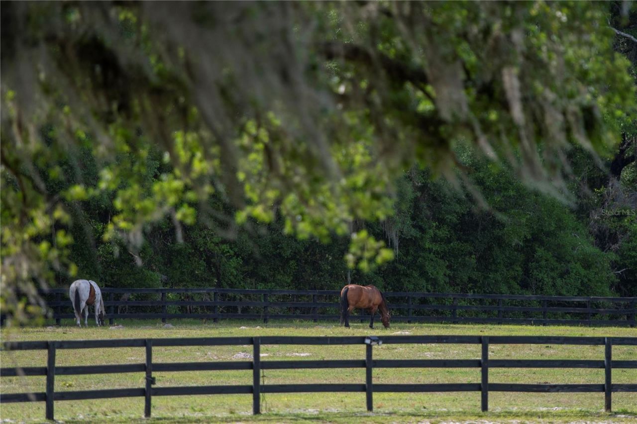 Tbd (lot 14-w) SW 138th Loop, Dunnellon, FL 34432 Photo