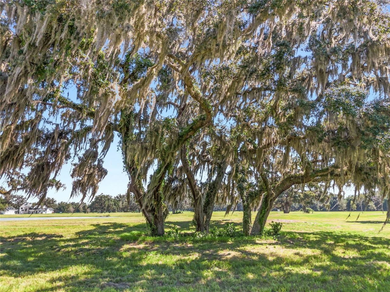 Tbd (lot 14-w) SW 138th Loop, Dunnellon, FL 34432 Photo