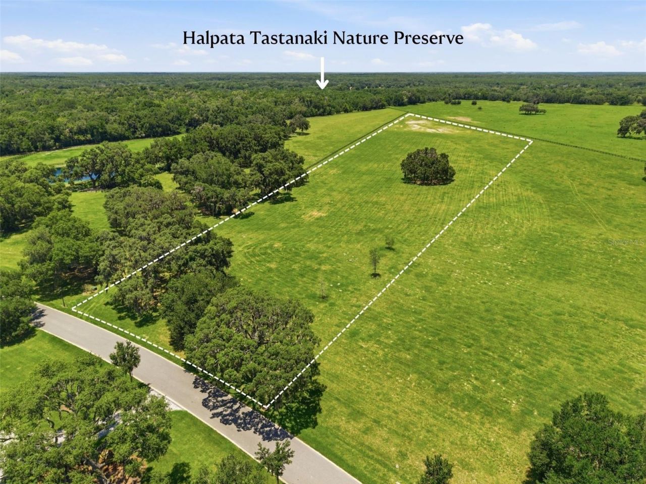 Tbd (lot 14-w) SW 138th Loop, Dunnellon, FL 34432 Photo