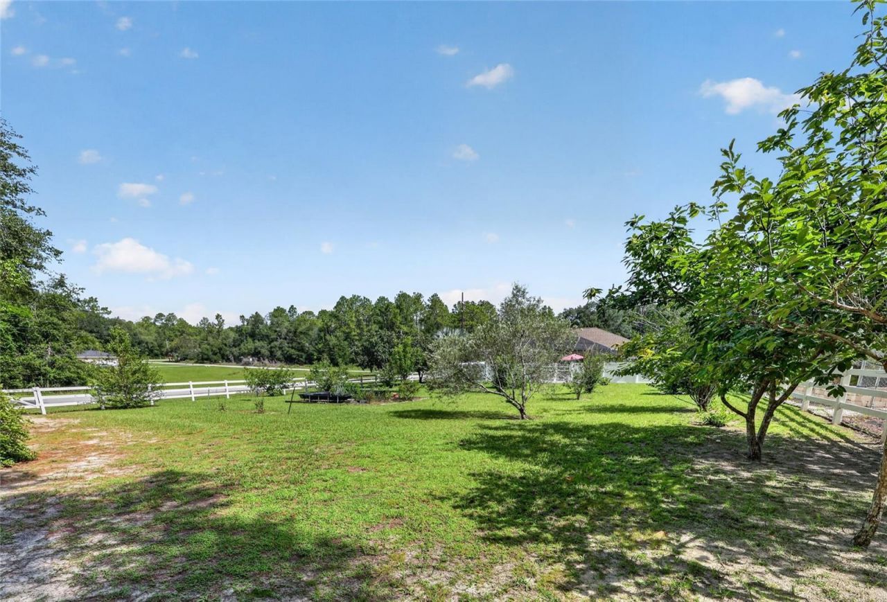 20096 SW 59th Lane, Dunnellon, FL 34431 Photo