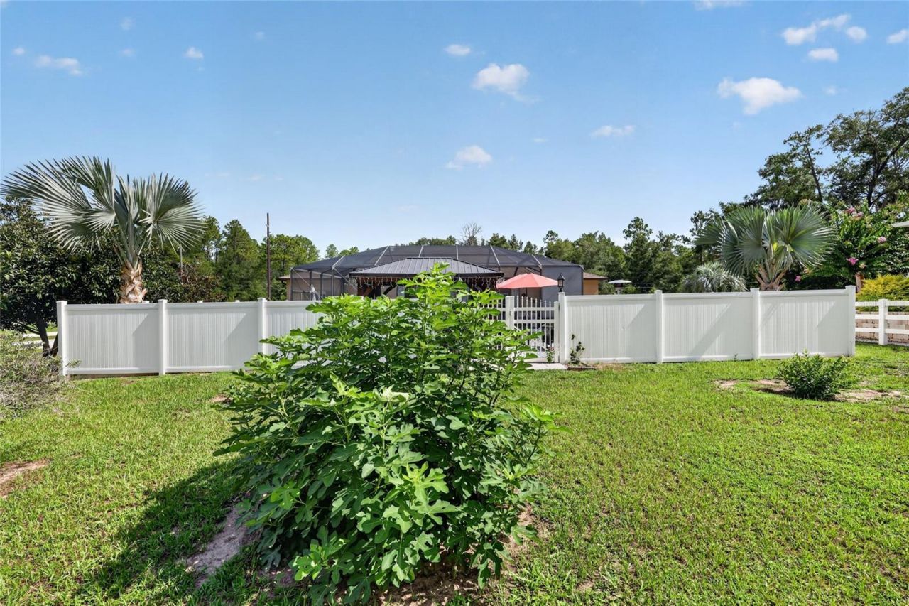 20096 SW 59th Lane, Dunnellon, FL 34431 Photo