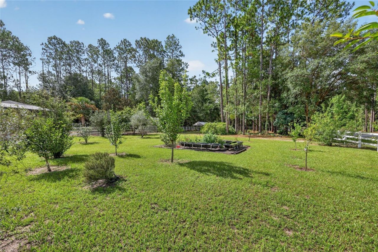 20096 SW 59th Lane, Dunnellon, FL 34431 Photo