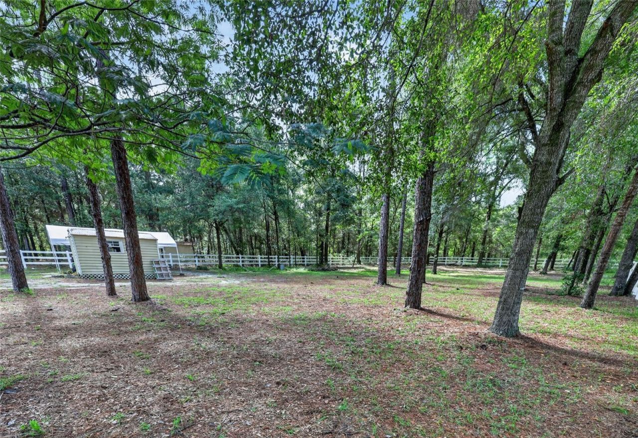 20096 SW 59th Lane, Dunnellon, FL 34431 Photo
