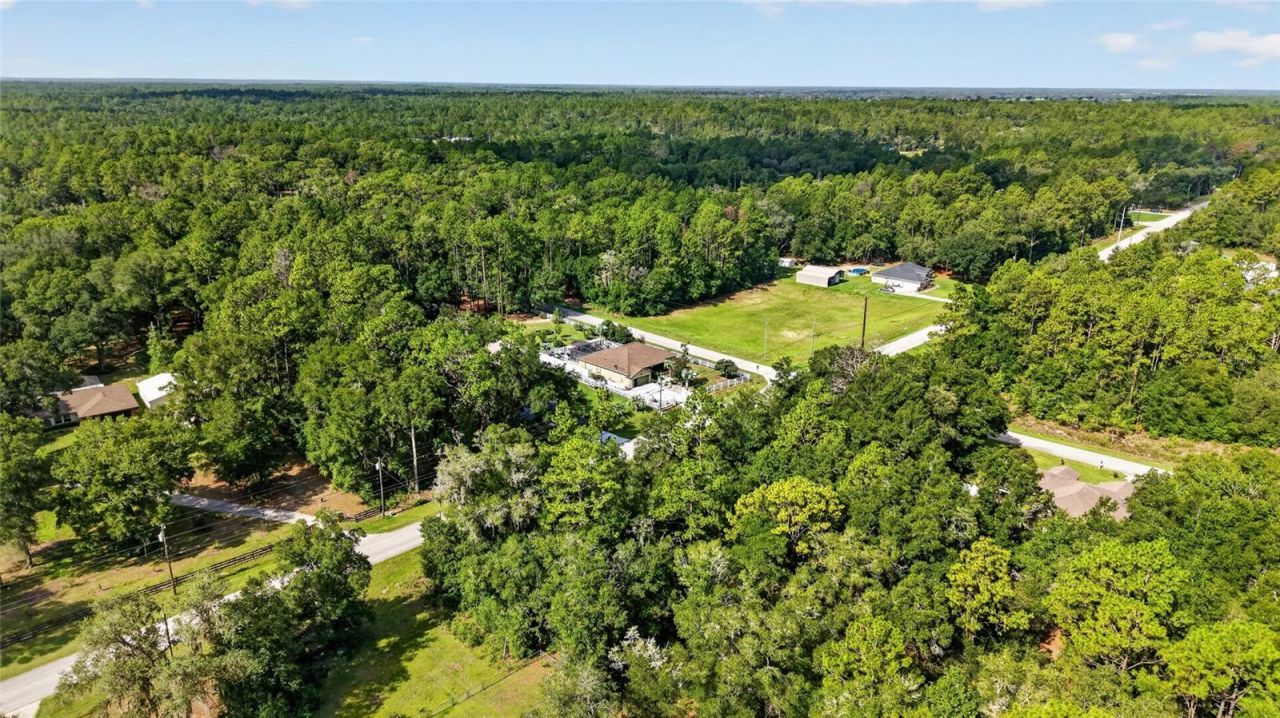 20096 SW 59th Lane, Dunnellon, FL 34431 Photo