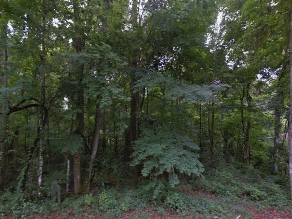 SE 42ND COURT , BELLEVIEW, FL 34420