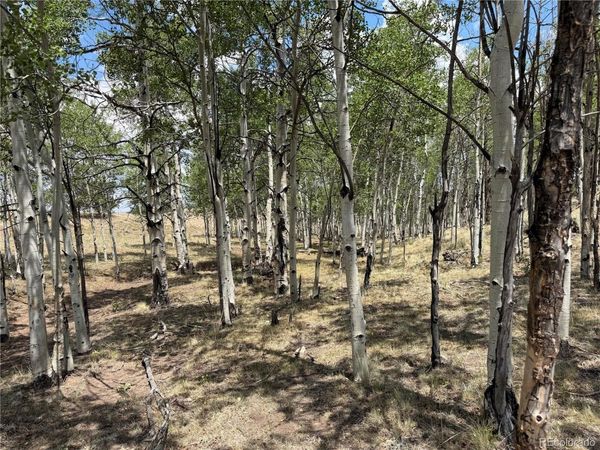 832 Ahlers Lane , Hartsel, CO 80449