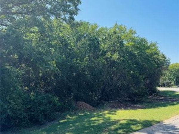 24019 Wood Hollow Drive , Whitney, TX 76692