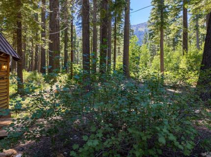1620 Wiyot Road, South Lake Tahoe, CA 96150 Photo