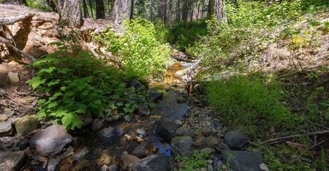 1620 Wiyot Road, South Lake Tahoe, CA 96150 Photo
