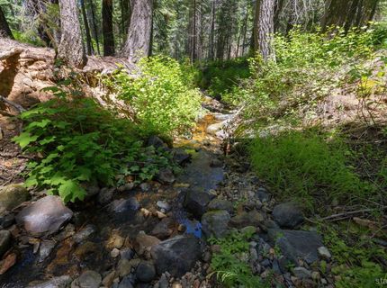 1620 Wiyot Road, South Lake Tahoe, CA 96150 Photo