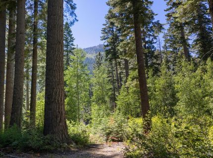 1620 Wiyot Road, South Lake Tahoe, CA 96150 Photo